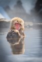 21 Jigokudani Snow Monkey Park